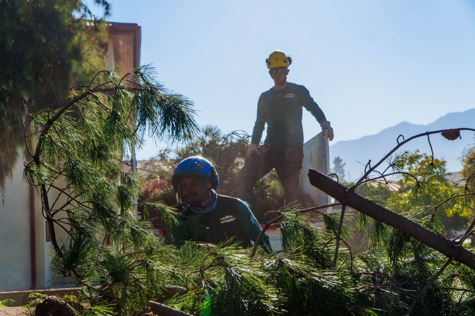 Mantención de áreas verdes: Retiro del material