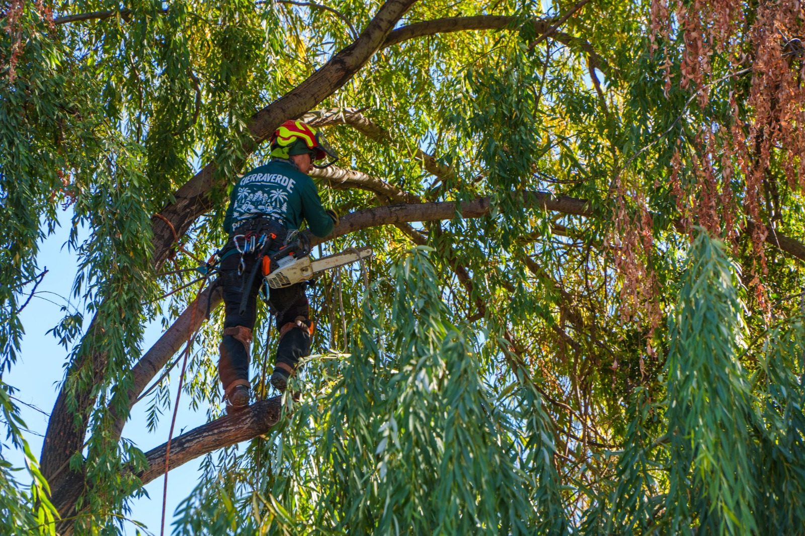Operador asegurado durante el ascenso